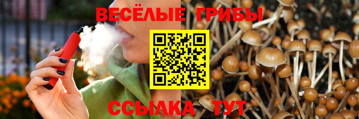 Котлас  Псилоцибиновые грибы MAGIC MUSHROOMS  Вход с VPN 